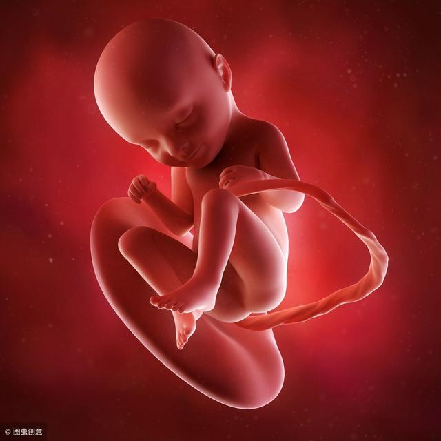 怀孕8个月胎儿图（怀孕8个月胎儿长什么样）(5)